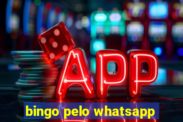 bingo pelo whatsapp